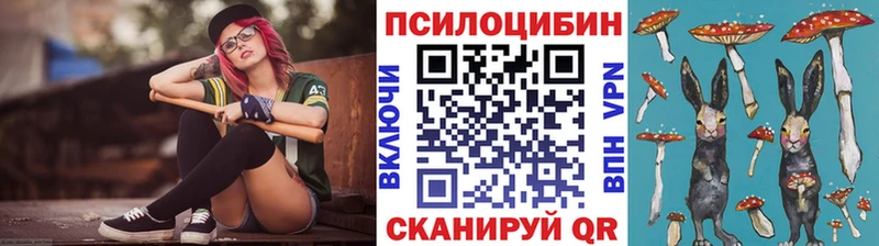 Галлюциногенные грибы Psilocybe  Славянск-на-Кубани 