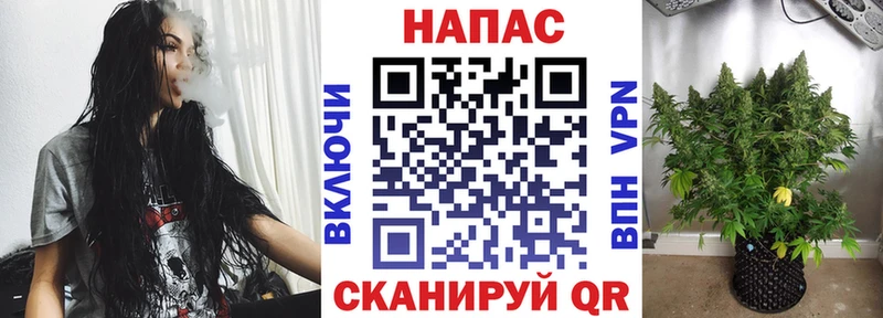 купить Славянск-на-Кубани Каннабис конопля